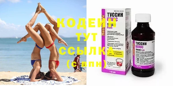 таблы Гусев