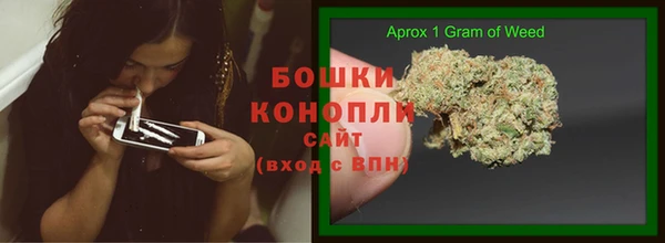таблы Гусев