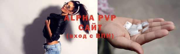 таблы Гусев