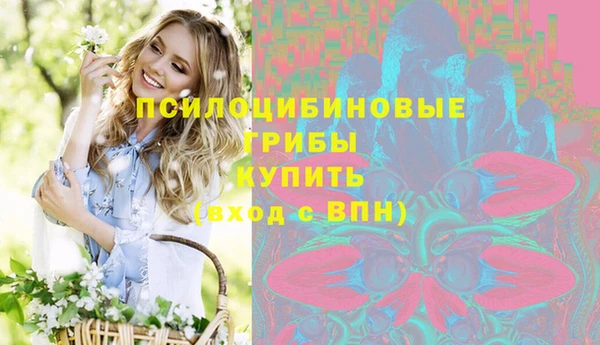 бошки Гусиноозёрск