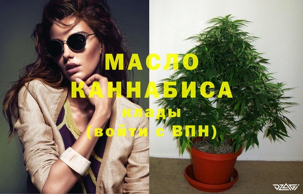 таблы Гусев