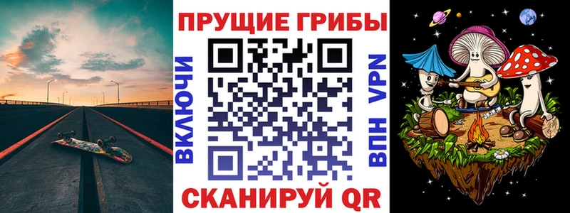 купить наркотик  Железногорск-Илимский  Псилоцибиновые грибы ЛСД 